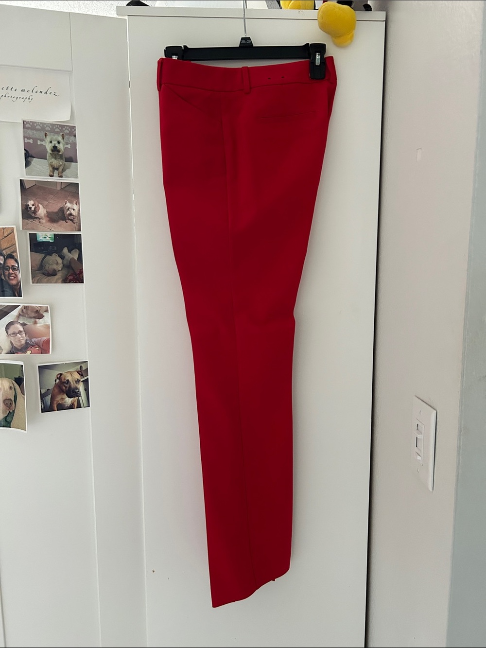 Express Red Slim Dress Trousers